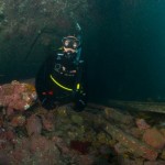 learn to dive wellington, dive course wellington island bay